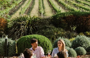 South to South: New Air New Zealand route to connect the South Island directly with South Australia Air New Zealand Airlines News