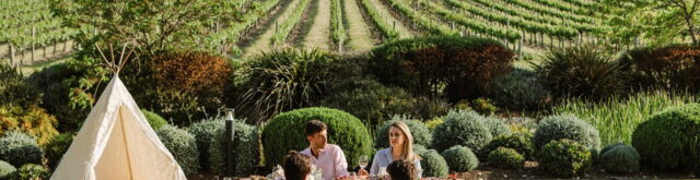 Air New Zealand Airlines News