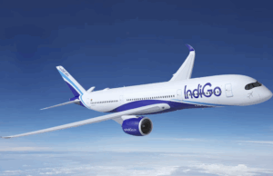 Company Profile and Brief History for IndiGo Airlines IndiGo Airlines
