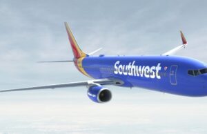 ‘Grinning cat’ escapes on plane and presents pre-takeoff safety demonstration Photo Credits: Southwest Airlines