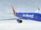‘Grinning cat’ escapes on plane and presents pre-takeoff safety demonstration Photo Credits: Southwest Airlines